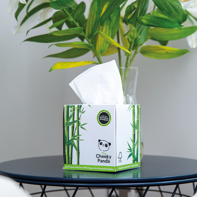 Cheeky Panda, Chusteczki bambusowe, 56 szt.