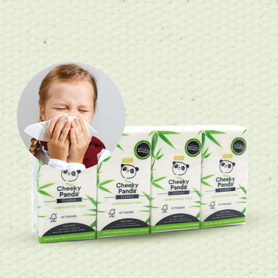 Chusteczki higieniczne kieszonkowe, 80 szt. (8 op. po 10 szt.)